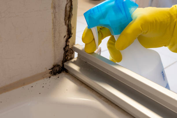 Best Mold Testing and Inspection Services in Six Mile, SC