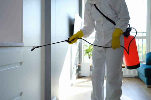 Best White Mold Remediation in Six Mile, SC